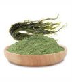 Kelp powder 50g. 