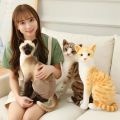 Realistic Cat Plush Toys American Shorthai Siamese Ragdoll Stuffed Doll Lifelike Animal Toy For Children Home Decor Baby Gift. 