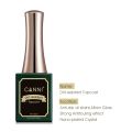CANNI 16ml Gel Nail Polish Transparent Pink Pure White Color Nail Varnish Milky White Diamond No Wipe Top Coat Nail Manicure Gel. 