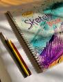 Sketch Book - A3 Size - 250g Paper - For Acrylic & Watercolor. 