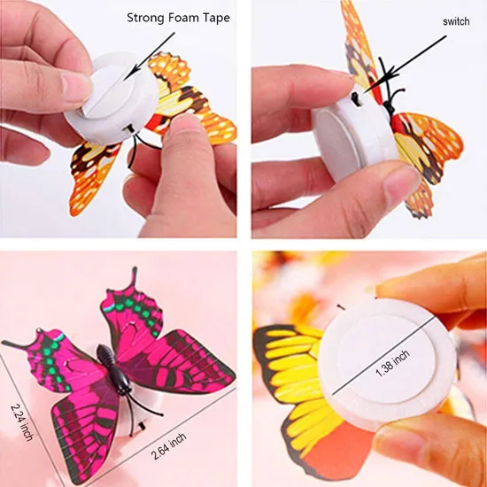 combo%20of%20100pcs%20glowing%20stars%20N%204pcs%20color%20changing%20LED%20butterflies%20-%20Image%204