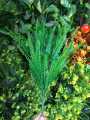 Artificial Mini Grass Leaves Plant Bunch Artificial Green Bunch Artificial Filler Leaves Green Bunch. 
