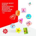 human body parts educational wooden puzzle for toddlers. 