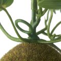 Ikea Artificial Potted Plant Moss. 