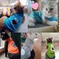 【Ready Stock LS Fashion Cartoon Pet Vest Cute Teddy Dog Clothes Spring & Summer Soft Casual Shirts for Small Dogs Cats XS (1-1.5 kg). 