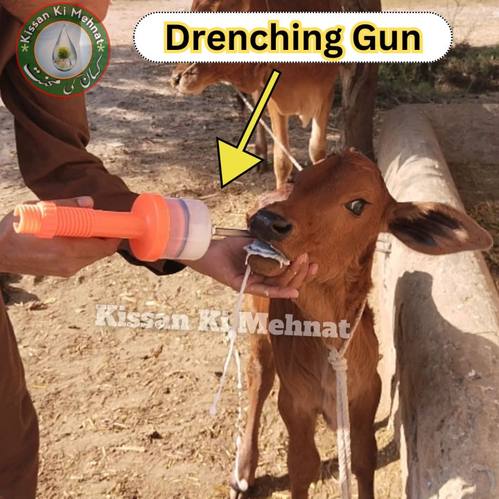 Drenching%20Gun%20%7C%20Drencher%20Oil%20Gun%20%7C%20Drenching%20Gun%20200ML%20-%20Image%205