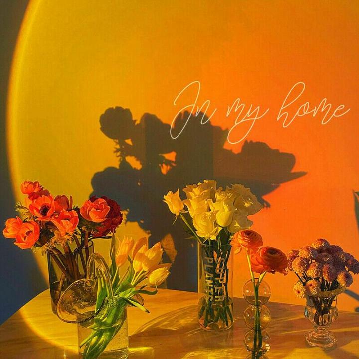 LED%20Sunset%20Lamp%20Projector%204%20in%201%20%7C%20Mobile%20Photography%20Backgrounds%20Accessories%20Lighting%20Kit%20Wallpaper%20-%20Image%204