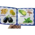 Pack Of 10 Pre School Books For Your Kids - Kids Books For Early Learning - Reading Books For Kids And Children KS. 