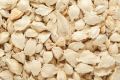 20+ White  Moringa / Sohanjna Tree Plant Flower Seeds - High Germination Rate. 