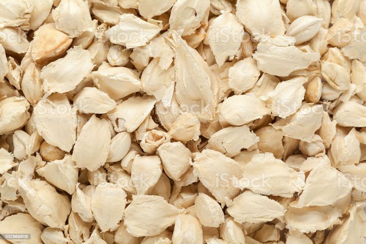 20+ White  Moringa / Sohanjna Tree Plant Flower Seeds - High Germination Rate