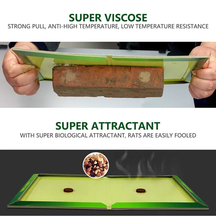 Mouse%20&%20Rat%20Trap%20-%20Image%205