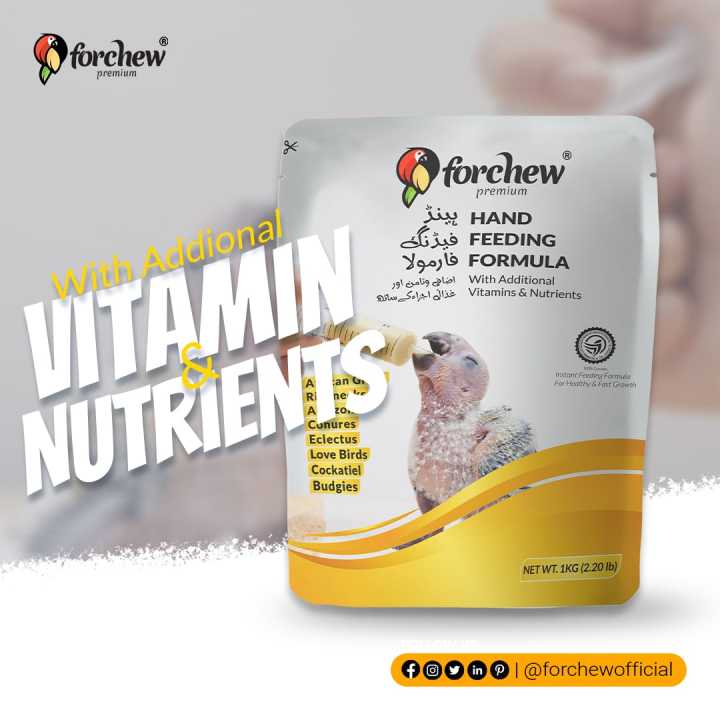 Hand%20Feeding%20Food%20For%20Birds%20-%20Image%206