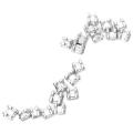 20Pcs Dental Orthodontic Edgewise Brackets Braces for Orthodontic Treatment. 