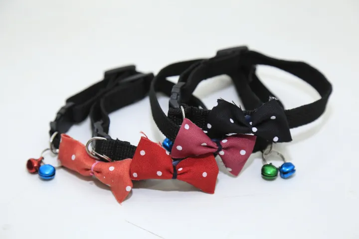 Bundle%20of%20cat%20accessories%20:%20Cat%20Collar%20-%20Bowknot%20Bell%20Design,%20Cat%20stick%20Teaser%20Toy%20Feather,%20cat%20double%20bowl,%20cat%20harness%20and%20leash%20-%20Image%204