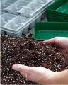 Professional Compost Soil For All Type Seed Germination Seedling Plants - 5L. 