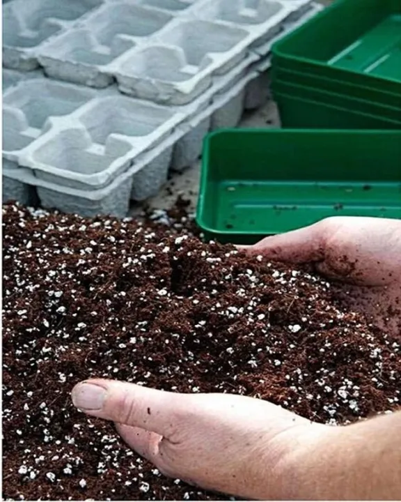 Professional%20Compost%20Soil%20For%20All%20Type%20Seed%20Germination%20Seedling%20Plants%20-%205L%20-%20Image%203