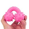 Pets toy Puppies Rubber Dental Teeth Chew Bone Play Training Fetch Fun Toys Hot honden speelgoed  toys - PS404 - PS-TO. 