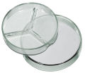GLASS PETRI DISH. 