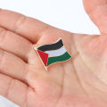 【They all say it looks good】 Free Palestine Flag Brooch National Flag Metal Badge Clothing Accessories Badge. 