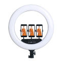 HOLA 26/36/45 CM Selfie Ring Light With 7 Feet High Quality Tripod Stand Selfie Phone Ring Light For All Smartphone 26CM ring light Tiktok Light Tiktok Stand. 