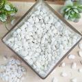 Fish Tank Gravel Rocks Marble Chips Gravel Stones Aquarium Natural Gravel white Colour For Garden Plant Decor, Decorative Rocks Stones 1 KG. 