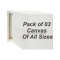 Pack of 3 Canvas for Painting - All sizes For Painting Blank White Canvas - 100% Cotton Art Panels for Oil, Acrylic & Watercolor Paint - Primed Canvas. 