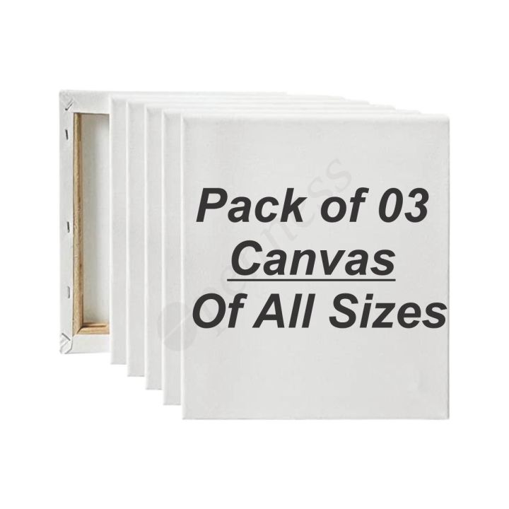 Pack of 3 Canvas for Painting - All sizes For Painting Blank White Canvas - 100% Cotton Art Panels for Oil, Acrylic & Watercolor Paint - Primed Canvas