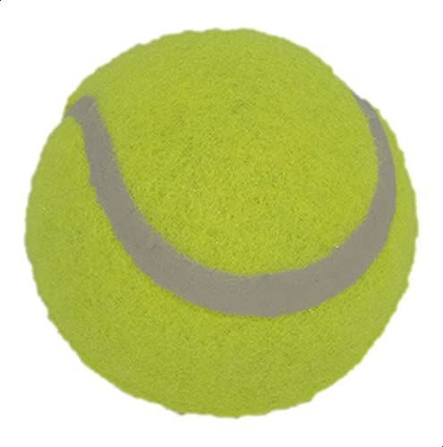 Pack%20of%204%20Light%20Green%20Tennis%20Ball%20/%20Soft%20Rubber%20Ball%20for%20Play%20Cricket%20-%20Image%208