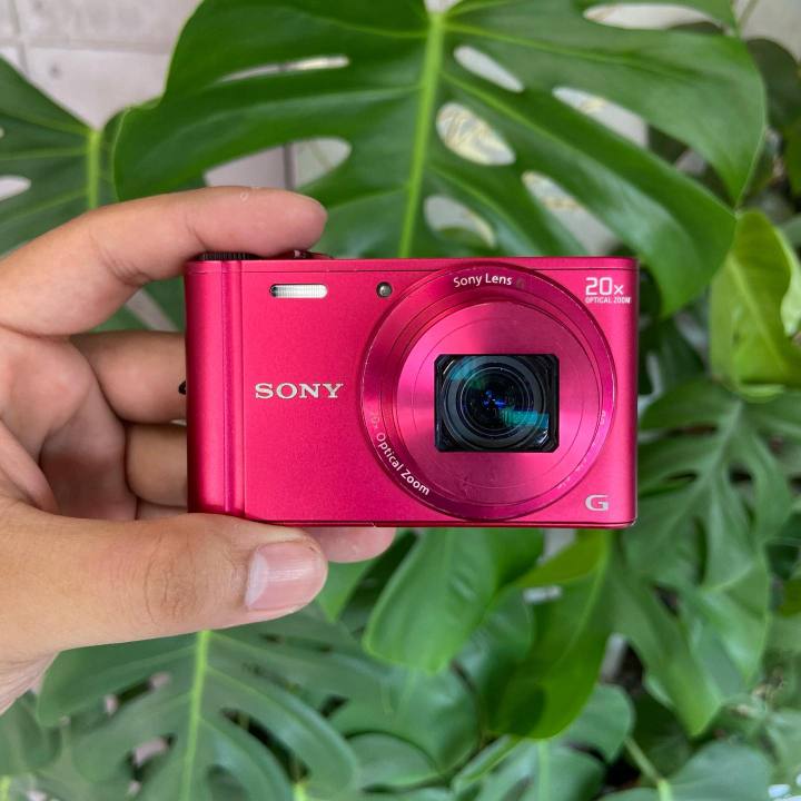 Sony Cyber-shot DSC-WX300 Red – 18.2 MP Digital Camera | 20x