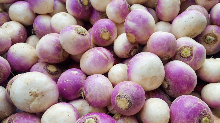 Turnip%20(Shaljam)%20Fresh%20Seeds%20-%20High%20Germination%20Rate%20-%20Home%20Kitchen%20Gardening%20-%20Image%206
