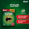 Kingtox Rat Killing Glue Trap. 