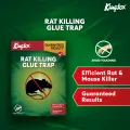 Kingtox Rat Killing Glue Trap. 