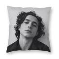 Timothee Chalamet Square Pillow Case Home Decor 90s TV Actor Cushions Throw Pillow for Living Room Double-sided Printing. 