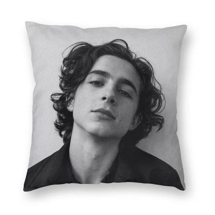 Timothee Chalamet Square Pillow Case Home Decor 90s TV Actor Cushions Throw Pillow for Living Room Double-sided Printing
