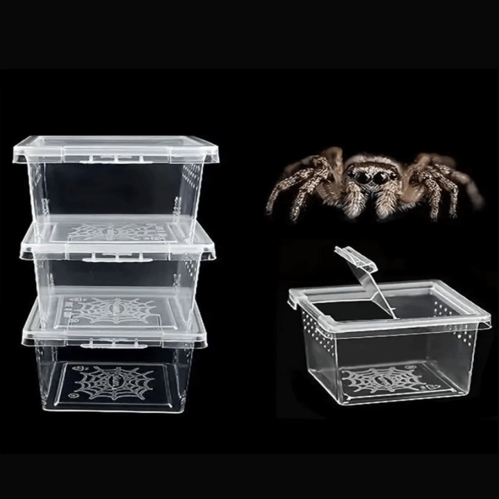 Durable Clear Plastic Reptile Living Box Food Feeding Anti-Escape ...