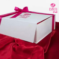 Espicopink Cotton Love 3 Bra Pack OF 3 Padded Soft Bras - Bra for Girls. 