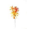 Gifts Glowing Colorful Firework DIY Fireworks Lights Hand Fireworks Twist Stick Fireworks Lantern Material Package Home Atmosphere Decor Firework Twist Stick Set. 