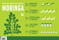 Moringa Pakistan: Moringa Oleifera Powder Buy 100% Pure 500g. 