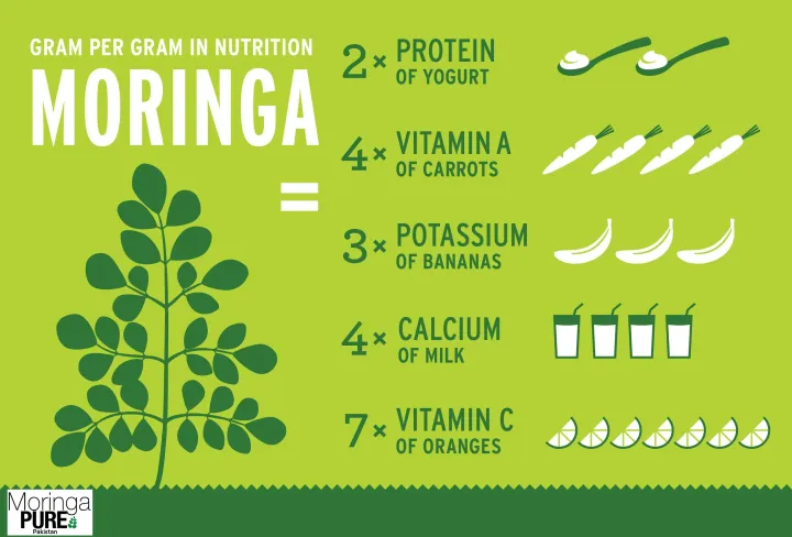 Moringa%20Powder%20Pakistan:%20Moringa%20Oleifera%20Leaf%20Powder%20%20Moringa%20Pure%201Kg%20-%20Image%206