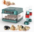 15 Eggs Weiqian Intelligent Incubator Dual Power Supply AC / DC. 