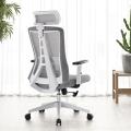 Home Office Chair Ergonomic Desk Chair Mesh Computer Chair with Lumbar Support Armrest Executive Rolling Swivel Adjustable Mid Back Task Chair, Black. 