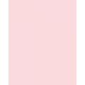 Pack of 100 Color Paper A4 Size - Pink. 