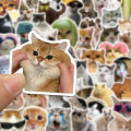 10/30/50PCS Funny Cat Meme Cartoon Stickers for Kids DIY Laptop Bike Phone Waterproof Kawaii Decoration Decals Joke Toys Gifts. 