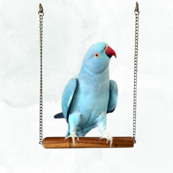 Parrot Swing Birds Swing Cage Accessories Wood Perch Sitting Stand