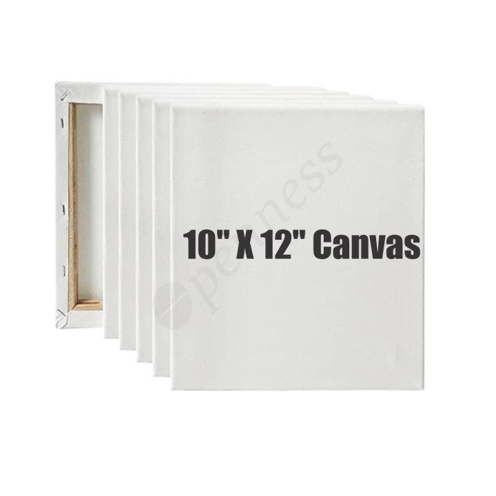 Openness Custom Sizes Primed Canvas, Size 10x12, Best for Painting and Artwork