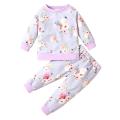 Girl Boy Two Piece Set, Baby Newborn Floral Dinosaur Printed Long Sleeve Pullover Shirt Trousers Pants. 