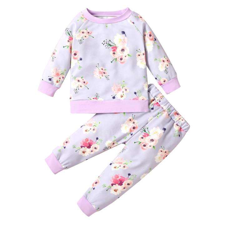 Girl Boy Two Piece Set, Baby Newborn Floral Dinosaur Printed Long Sleeve Pullover Shirt Trousers Pants