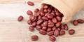 Jojoba Fruit  (عناب) Unaab  Onab   Organically Dried Jujube (Unaab) Unab 250 Grams - Pakistan Pansar. 