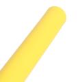 MMA Practice Foam Dragon Pattern Nunchucks Children Freshman Training Toy. 