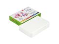Wight Night Full Pan Water Color Botanica Set Of 12 Pcs. 